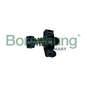B10554 Borsehung