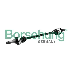 Borsehung B12489