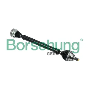 B18364 Borsehung