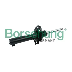 B12132 Borsehung