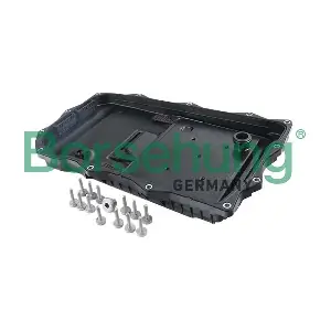 B12754 Borsehung