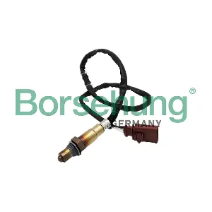 B18920 Borsehung