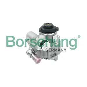 B13210 Borsehung