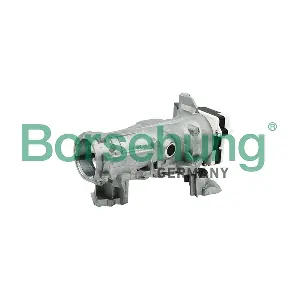 B17985 Borsehung