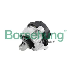 B12613 Borsehung