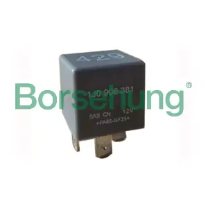 B17817 Borsehung