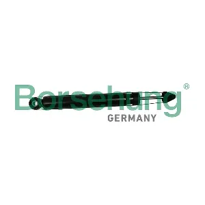Borsehung B19276