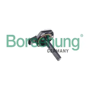B18975 Borsehung