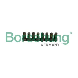 Borsehung B12950