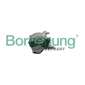 B18771 Borsehung