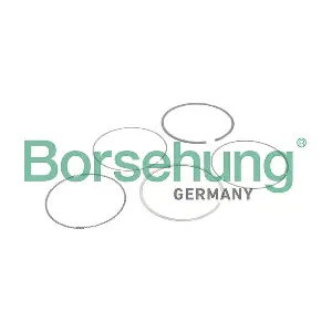 Borsehung B10373