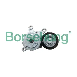 B13089 Borsehung