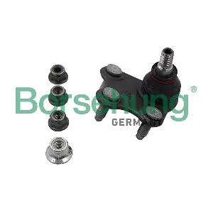 B18695 Borsehung