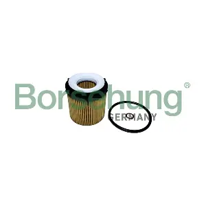 B10441 Borsehung