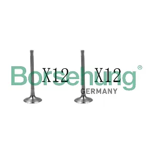 B18638 Borsehung