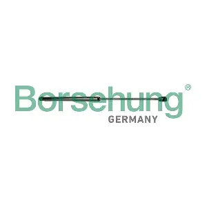 B13097 Borsehung