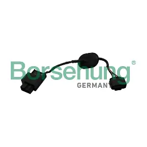 B19230 Borsehung
