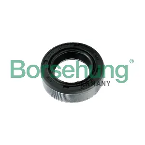 B17837 Borsehung
