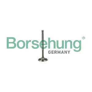 Borsehung B19019