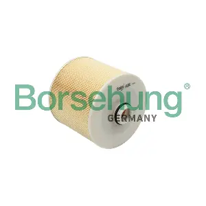 4F0133843 BORSEHUNG