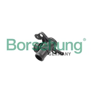B11992 Borsehung