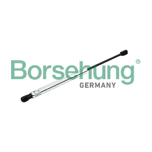 B18450 Borsehung