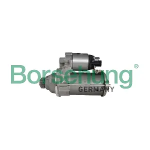 B12875 Borsehung