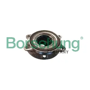 Borsehung B11294