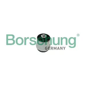 Borsehung B10030