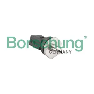B11857 Borsehung