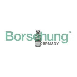 Borsehung B18826