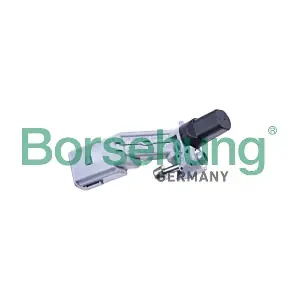 Borsehung B12427
