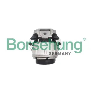 B12685 Borsehung