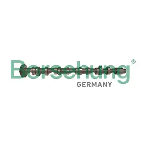 B12523 Borsehung