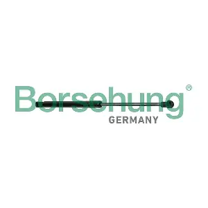B13091 Borsehung