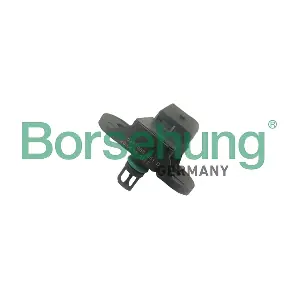 B19056 Borsehung