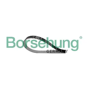 B10229 Borsehung