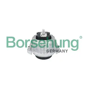 B12910 Borsehung