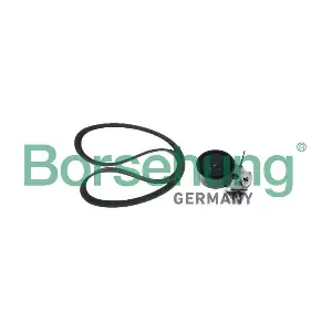 B12361 Borsehung