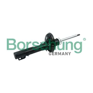 Borsehung B12134