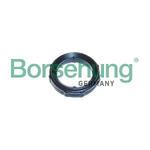 Borsehung B10651