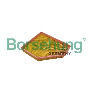 B13062 Borsehung