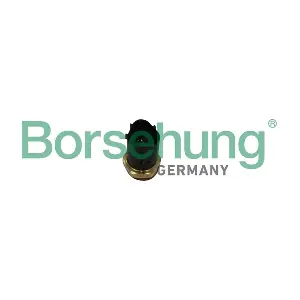 B13129 Borsehung