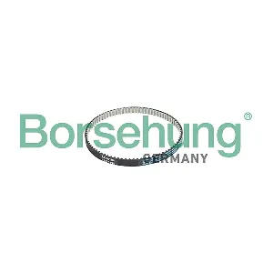 B10233 Borsehung