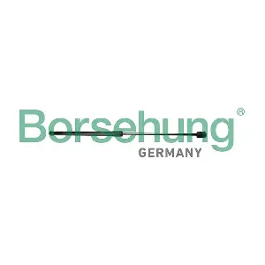B12069 Borsehung