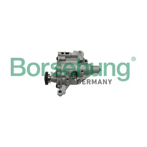 B18758 Borsehung