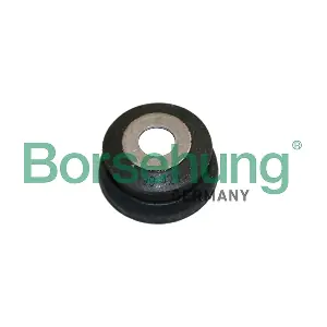 Borsehung B19073