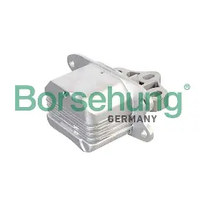 B12637 Borsehung