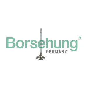 B19021 Borsehung