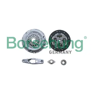 Borsehung B10917